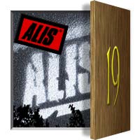 19.december: Alis hoodie